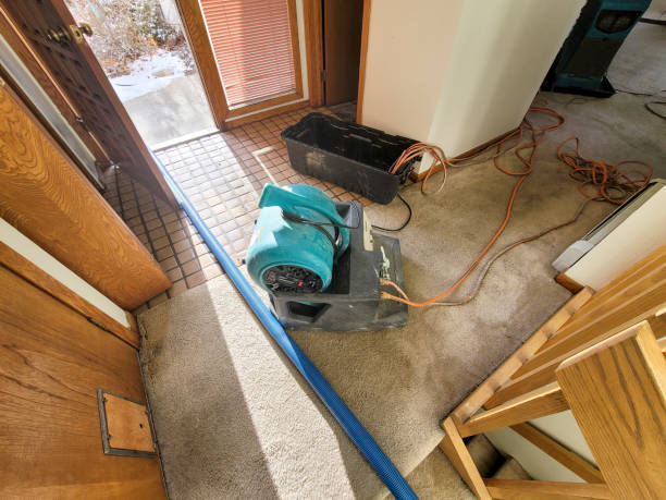 Best Flooded house restoration  in Glenwood, MN