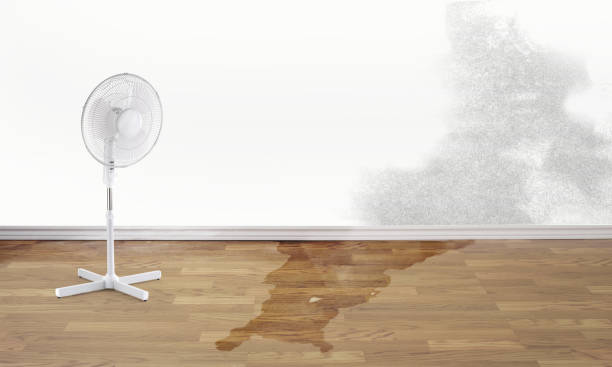 Best Fire Damage Restoration  in Glenwood, MN