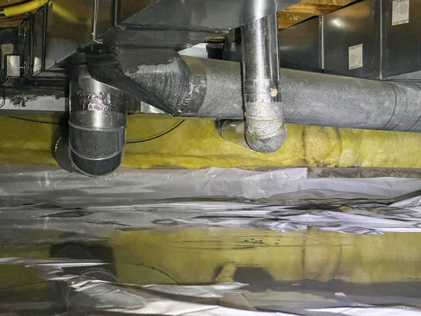 Best Basement water damage restoration  in Glenwood, MN